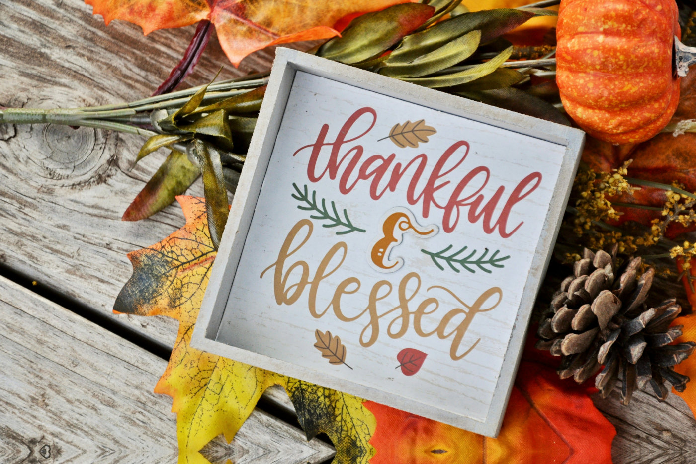 A cheerful Thanksgiving that says "Blessed," adorned with fall-themed elements like leaves and pumpkins.